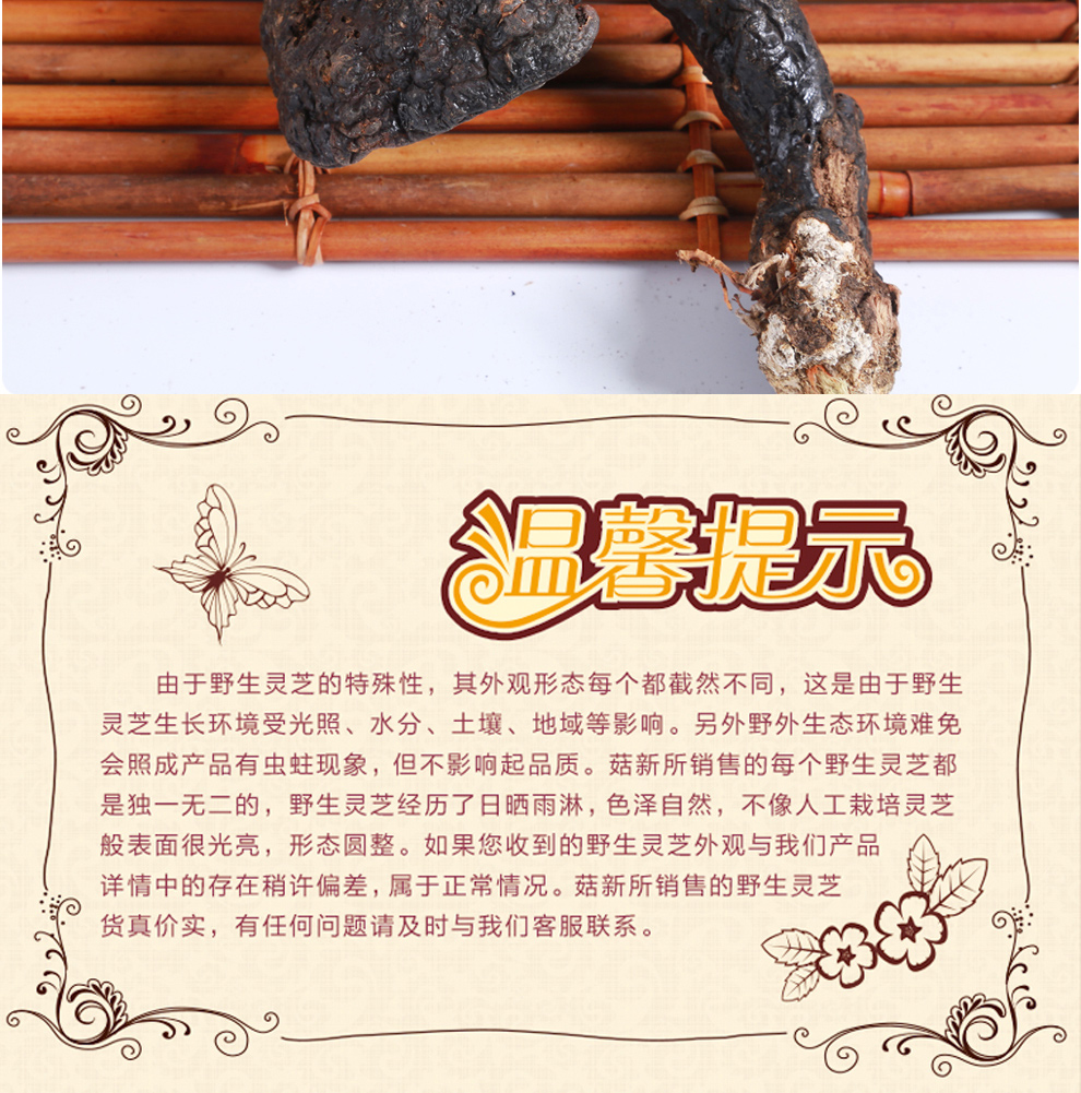 菇新野生靈芝大個(gè)頭
